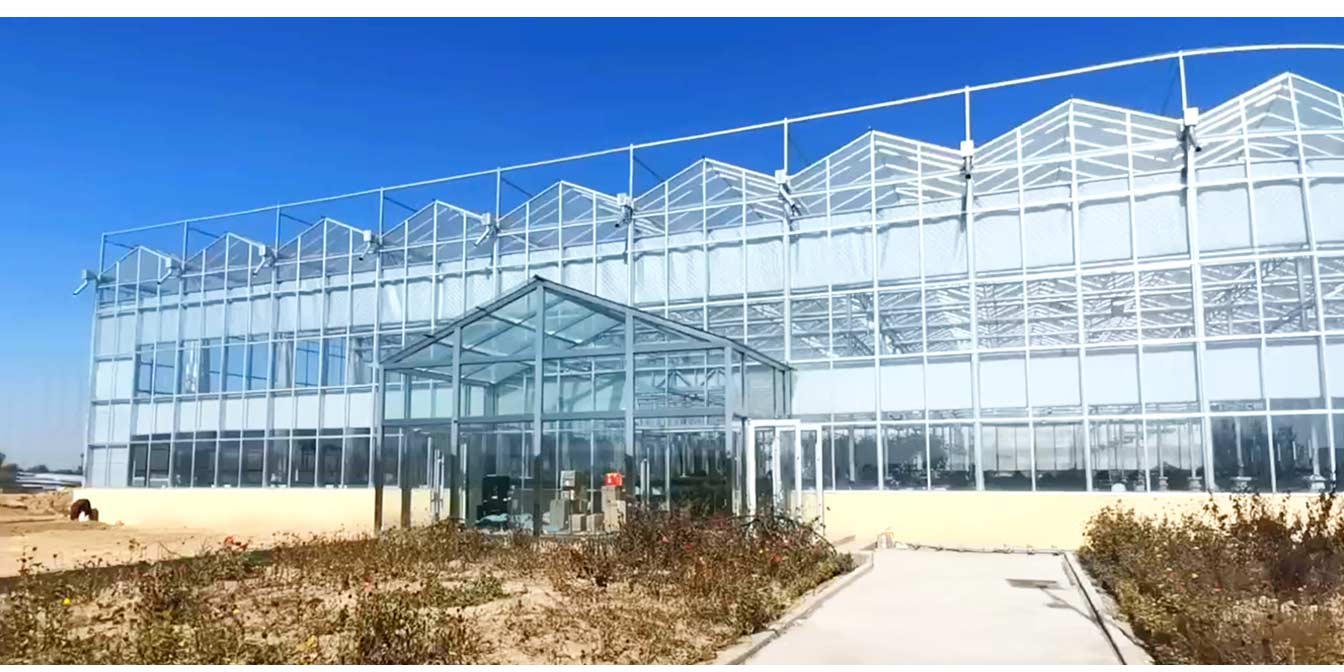 大路鎮(zhèn)苗家灘社區(qū)項(xiàng)目-智能溫室、日光溫室建設(shè)項(xiàng)目_13.jpg