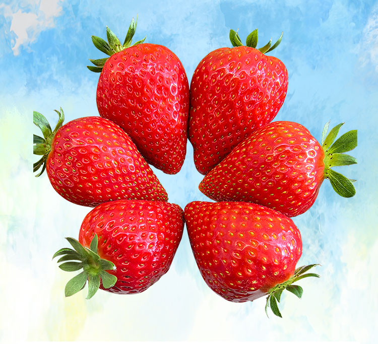 草莓1920網(wǎng)50像素2025年3月12日網(wǎng)頁_02.jpg 草莓1920網(wǎng)50像素2025年3月12日網(wǎng)頁_02.jpg